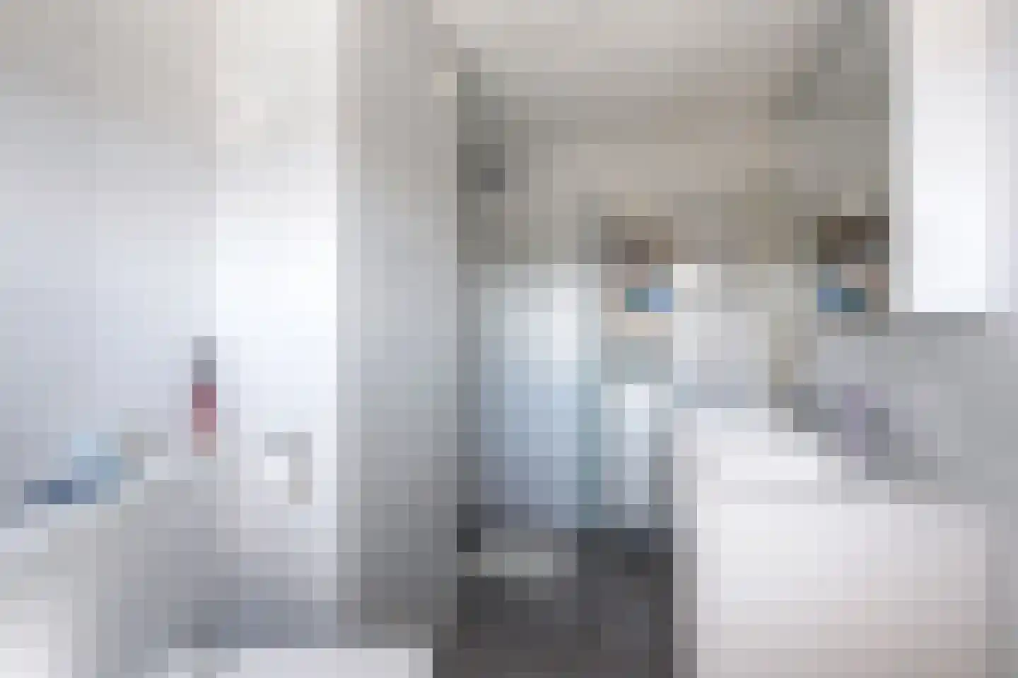 Wiardaplantage 56 Leeuwarden thumbnail 32