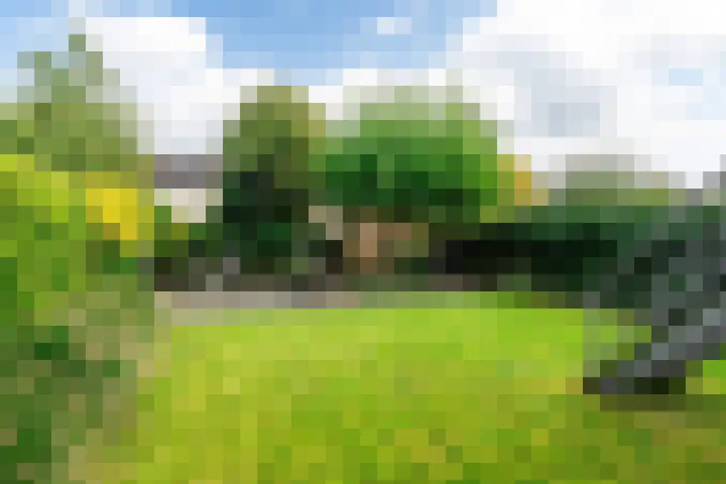 Wiardaplantage 62 Leeuwarden thumbnail 12
