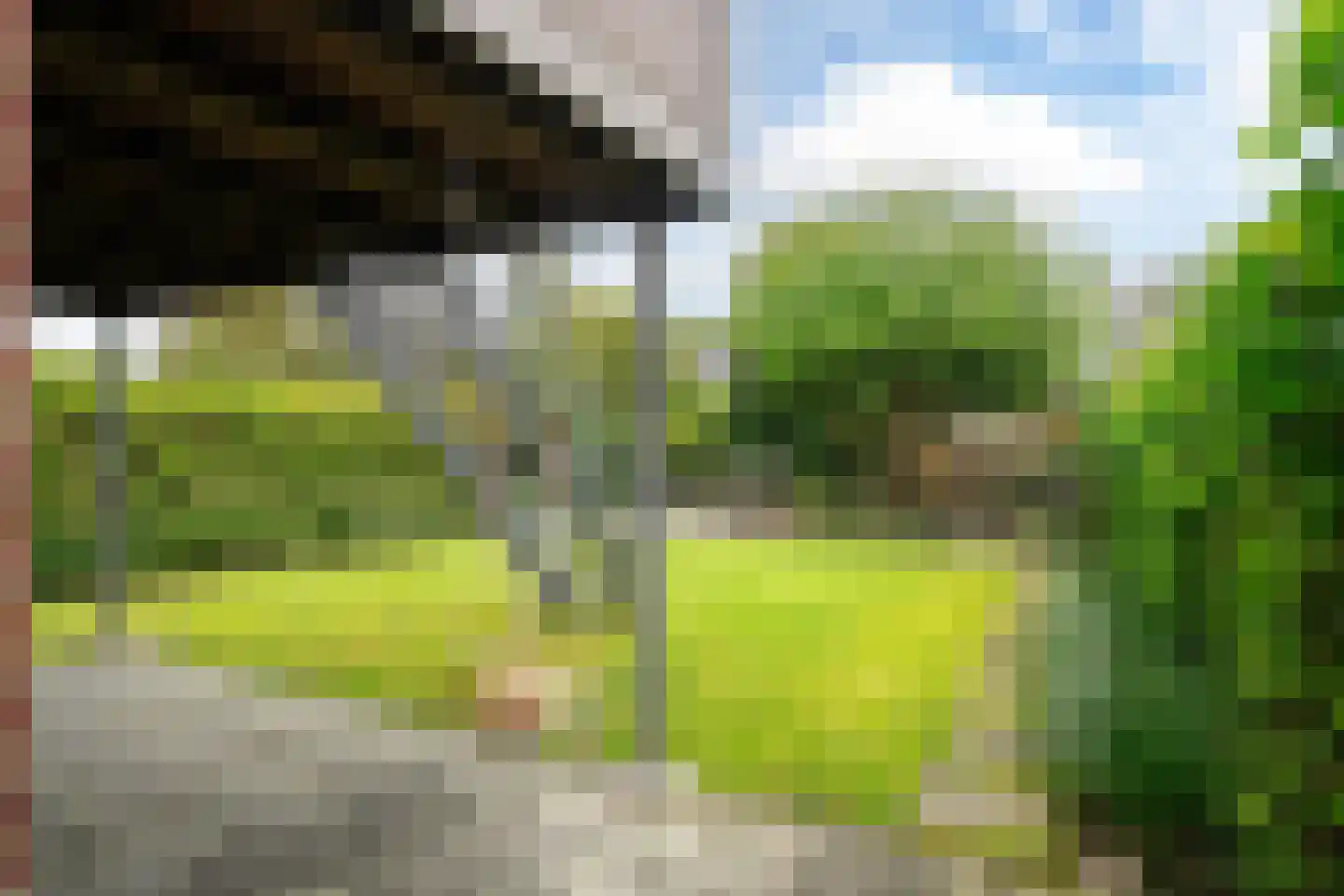 Wiardaplantage 62 Leeuwarden thumbnail 15