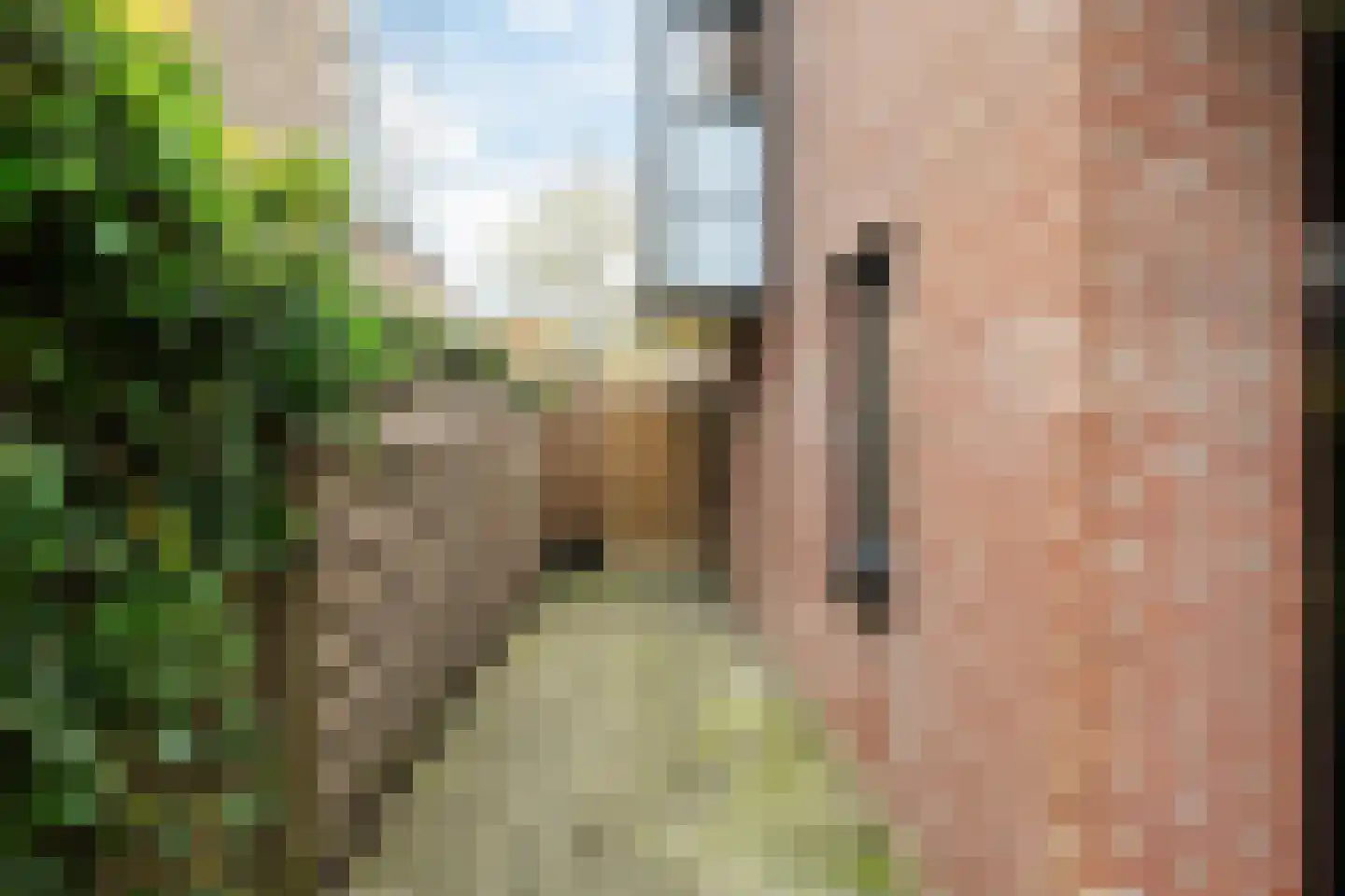 Wiardaplantage 62 Leeuwarden thumbnail 16