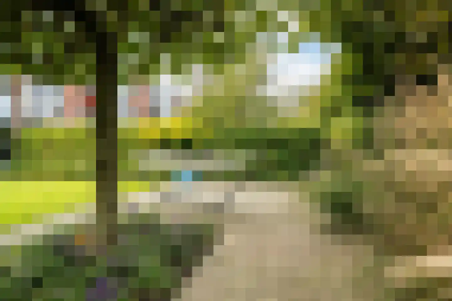 Wiardaplantage 62 Leeuwarden thumbnail 17