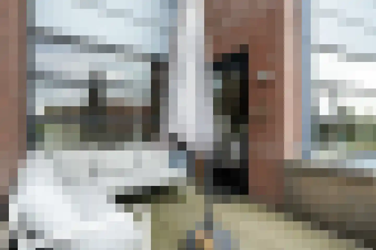 Wiardaplantage 62 Leeuwarden thumbnail 35