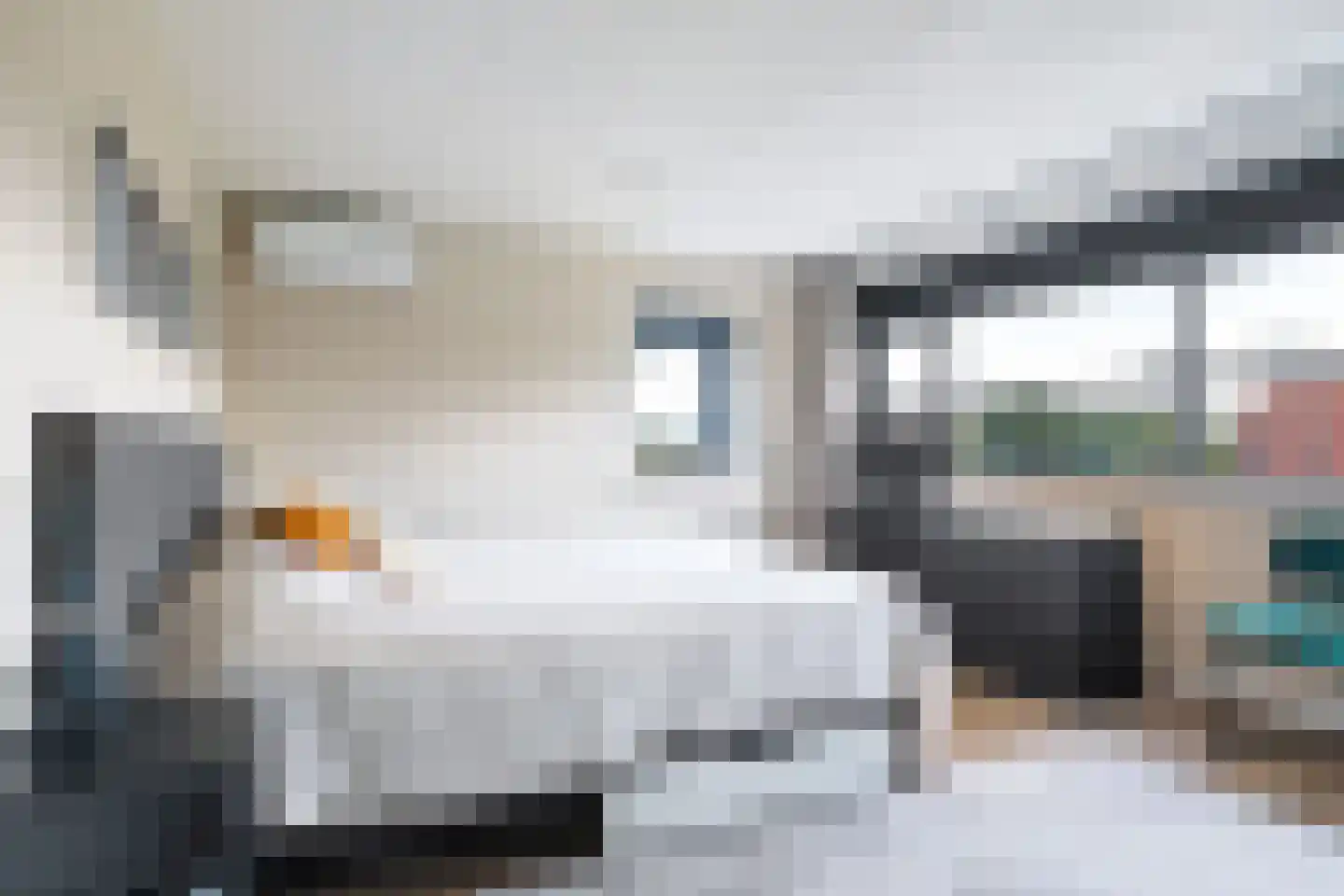 Wiardaplantage 62 Leeuwarden thumbnail 44