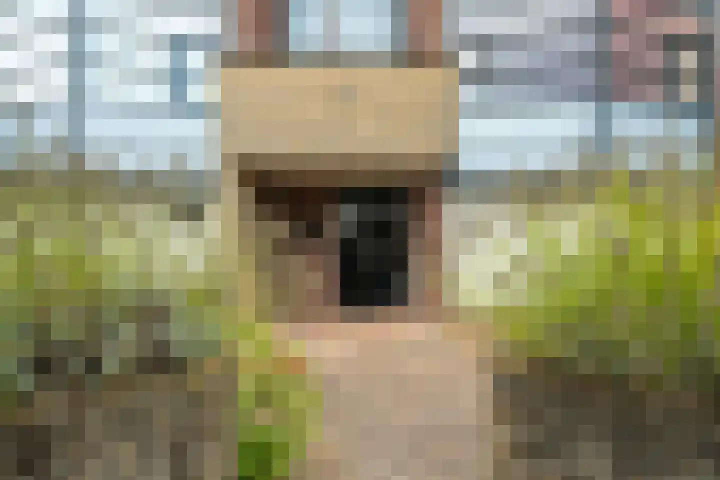 Wiardaplantage 62 Leeuwarden thumbnail 6