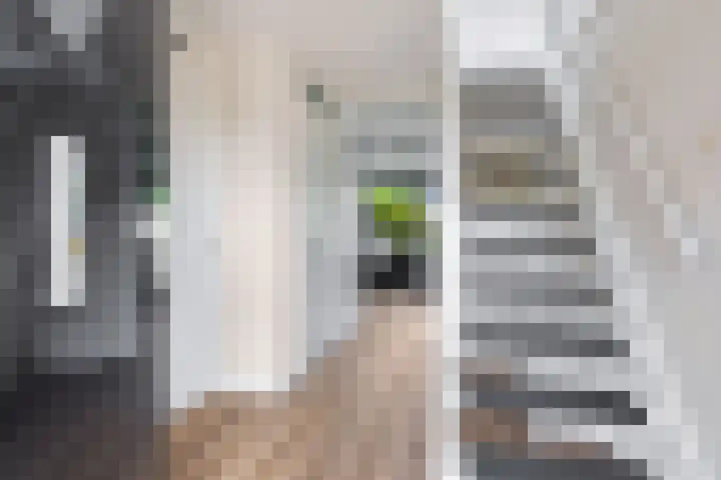 Wiardaplantage 62 Leeuwarden thumbnail 8