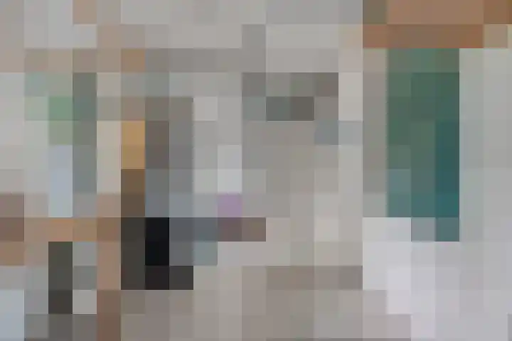 Wiardaplantage 72 Leeuwarden thumbnail 12