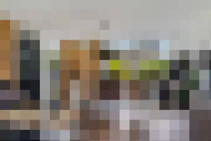 Wiardaplantage 72 Leeuwarden thumbnail 18