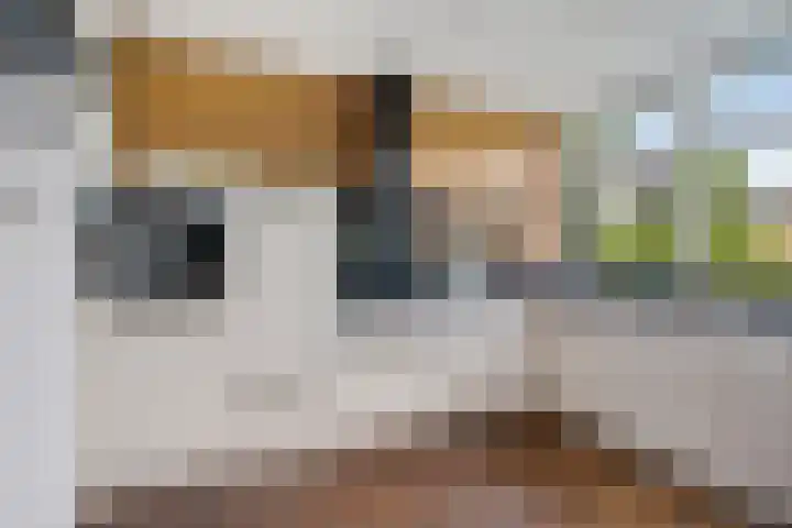 Wiardaplantage 72 Leeuwarden thumbnail 22