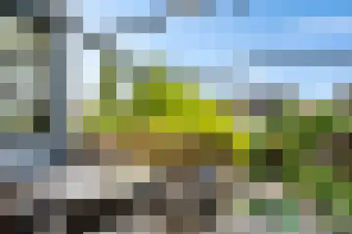 Wiardaplantage 72 Leeuwarden thumbnail 25