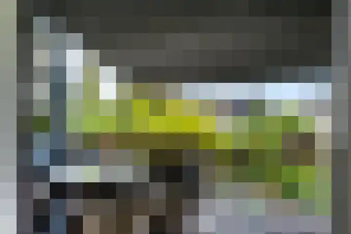 Wiardaplantage 72 Leeuwarden thumbnail 26