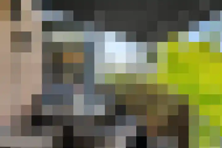 Wiardaplantage 72 Leeuwarden thumbnail 27