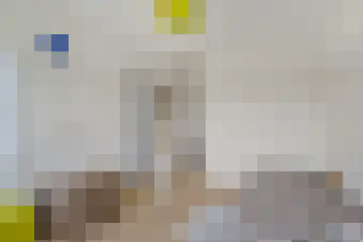 Wiardaplantage 72 Leeuwarden thumbnail 33