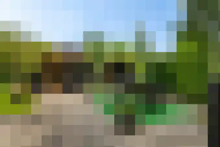 Wiardaplantage 72 Leeuwarden thumbnail 39