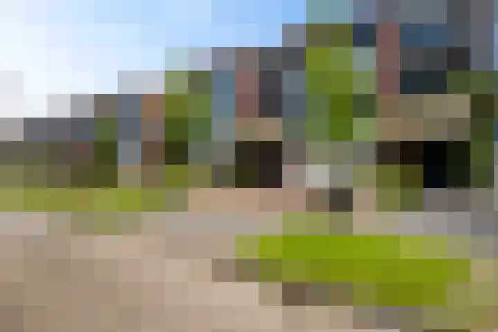 Wiardaplantage 72 Leeuwarden thumbnail 5