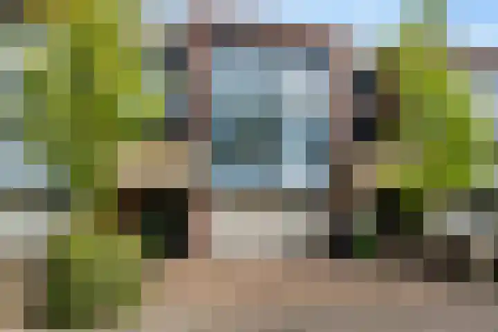 Wiardaplantage 72 Leeuwarden thumbnail 6