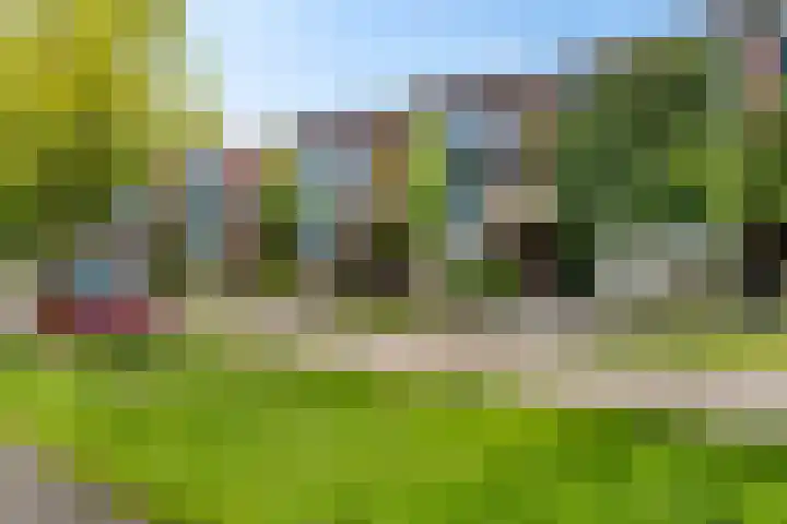 Wiardaplantage 72 Leeuwarden thumbnail 8