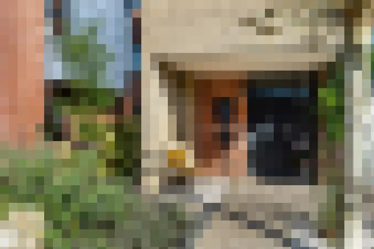 Wiardaplantage 88 Leeuwarden thumbnail 48