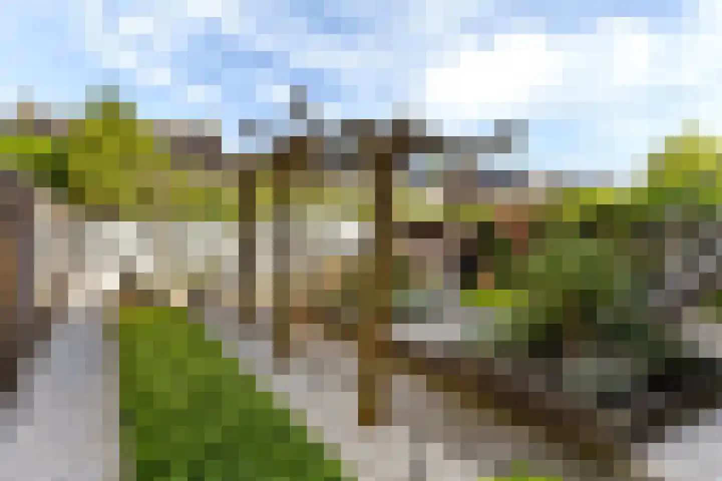 Wiardaplantage 88 Leeuwarden thumbnail 51