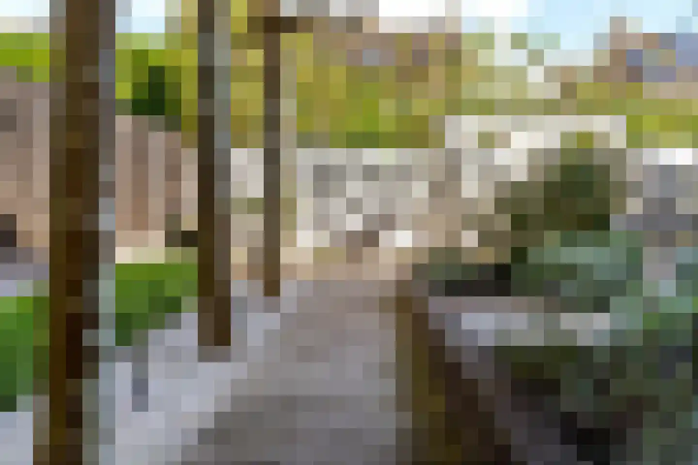 Wiardaplantage 88 Leeuwarden thumbnail 52