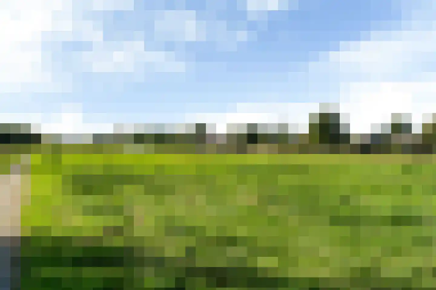 Wiardaplantage 88 Leeuwarden thumbnail 62