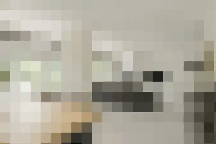 Wiardi Beckmanhof 35 Oosterhout thumbnail 10