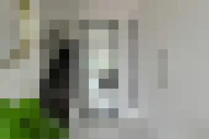 Wiardi Beckmanhof 35 Oosterhout foto 3