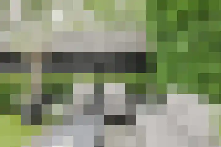 Wiardi Beckmanhof 35 Oosterhout thumbnail 38