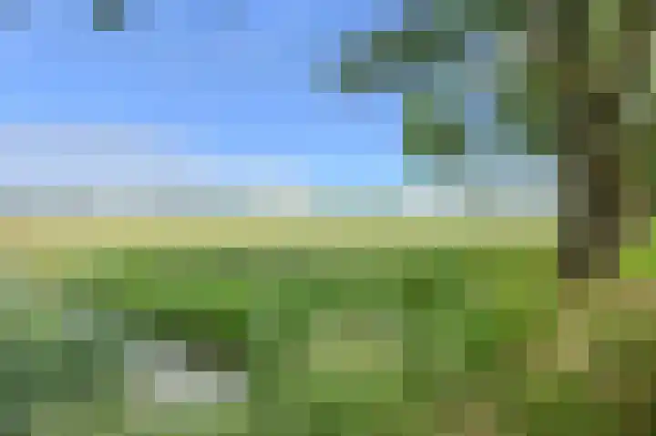 Wiardi Beckmanhof 35 Oosterhout thumbnail 42