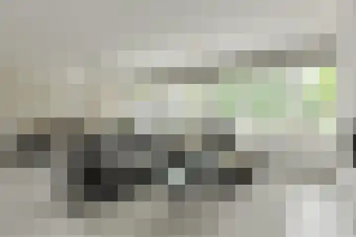 Wiardi Beckmanhof 35 Oosterhout thumbnail 5