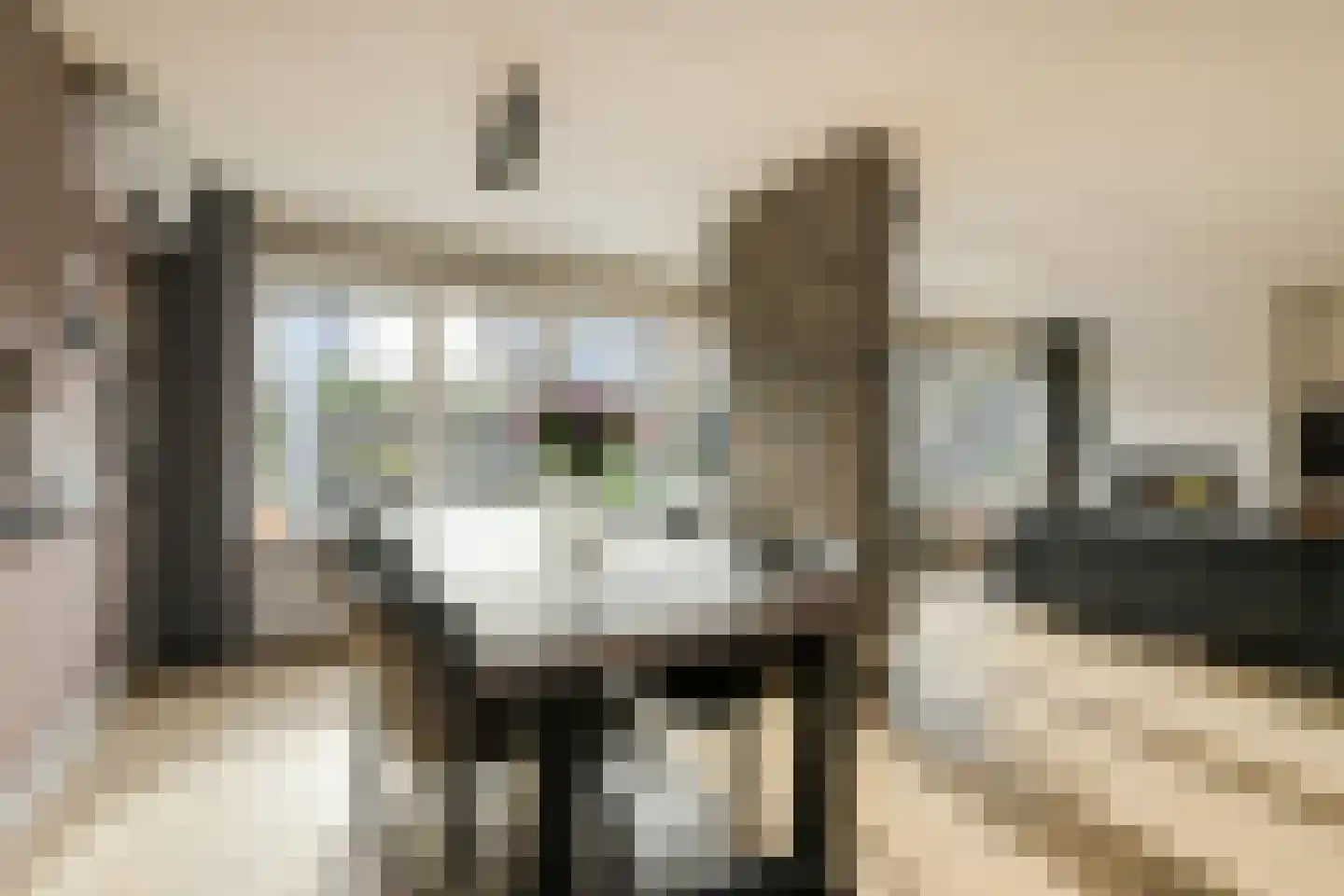 Wiardi Beckmanhof 51 Oosterhout thumbnail 7