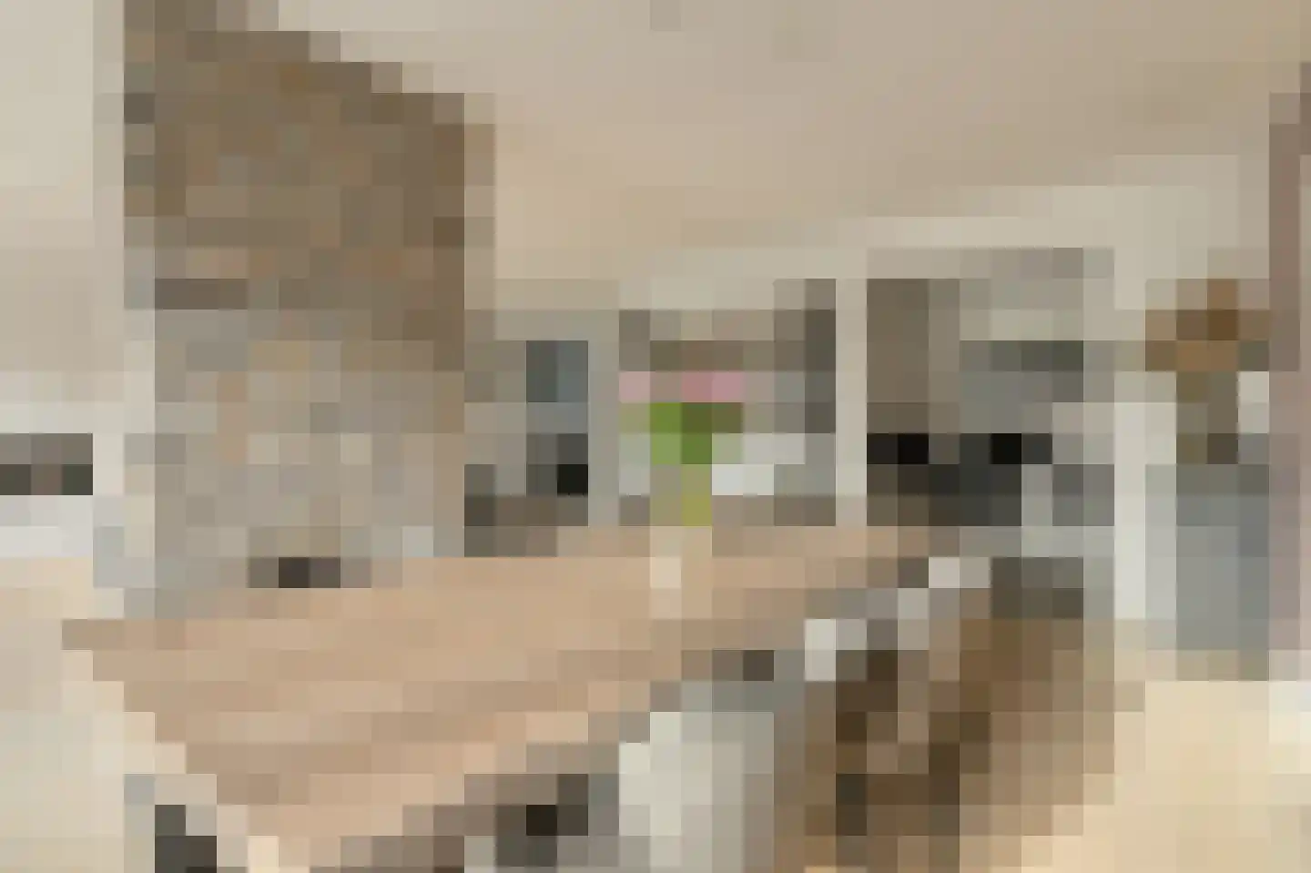 Wiardi Beckmanhof 51 Oosterhout thumbnail 8