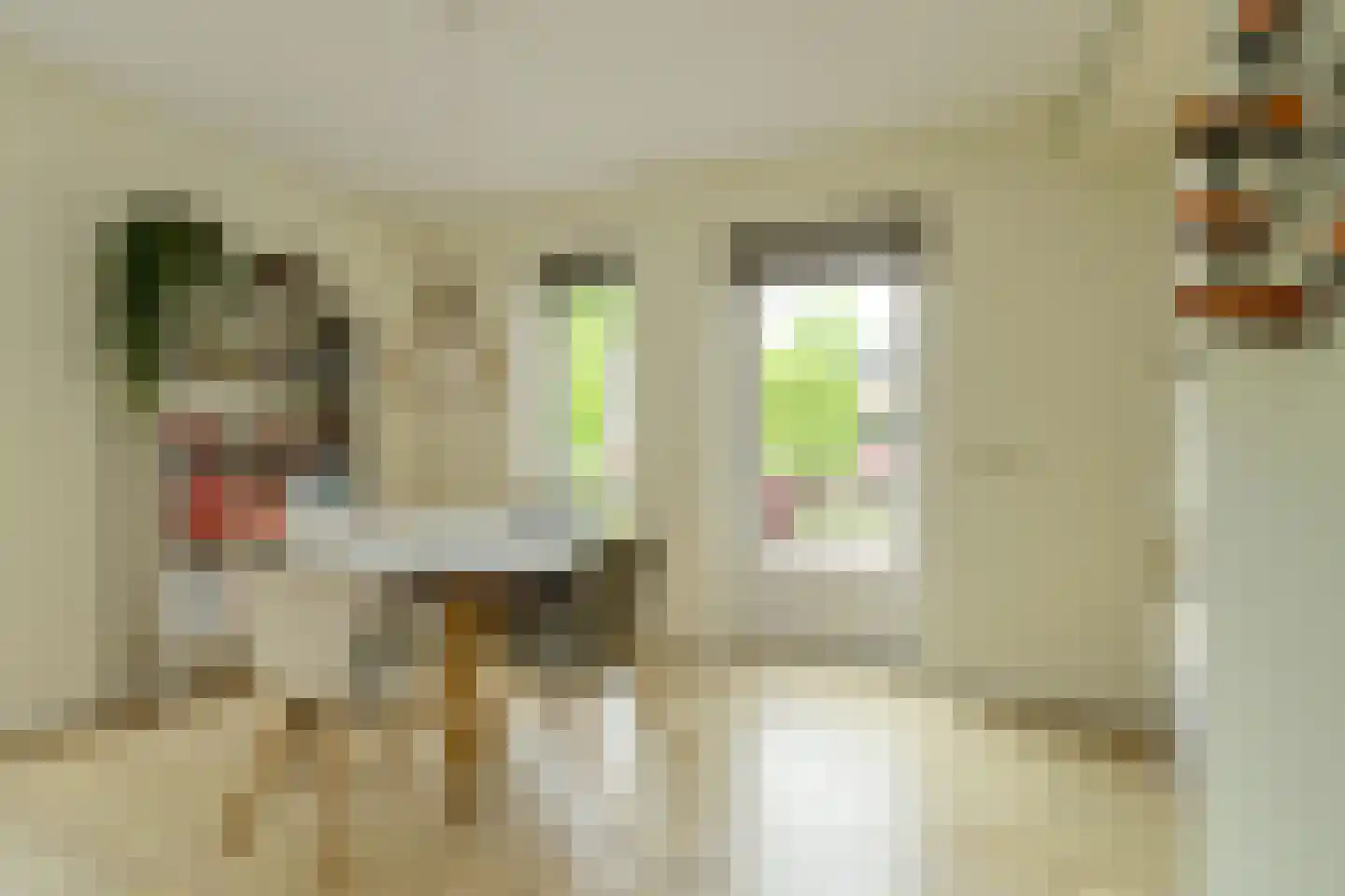 Wiardi Beckmanhof 59 Oosterhout thumbnail 12