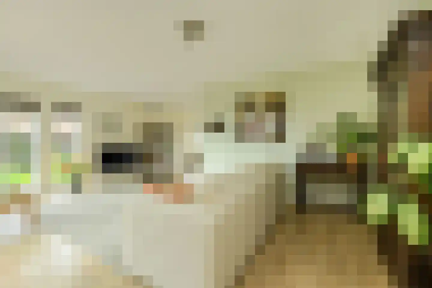 Wiardi Beckmanhof 59 Oosterhout thumbnail 7