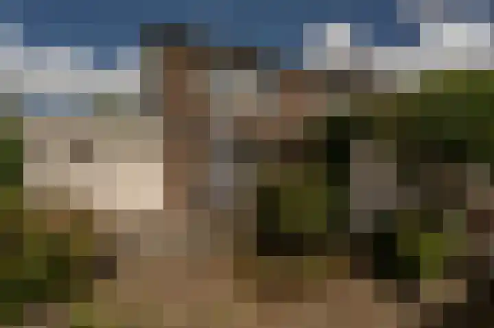 Wiardi Beckmanhof 8 Heinenoord thumbnail 28