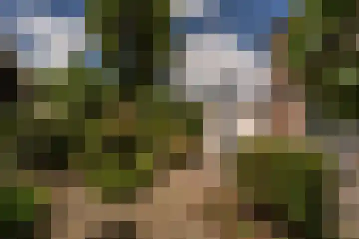 Wiardi Beckmanhof 8 Heinenoord thumbnail 29