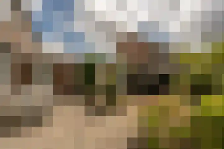 Wiardi Beckmanhof 8 Heinenoord thumbnail 30