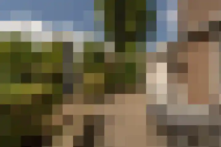 Wiardi Beckmanhof 8 Heinenoord thumbnail 31