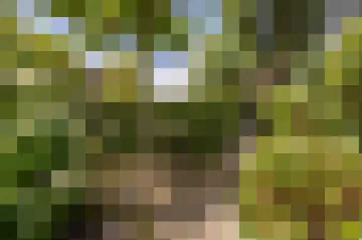 Wiardi Beckmanhof 8 Heinenoord thumbnail 32