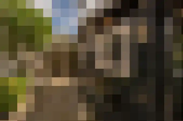 Wiardi Beckmanhof 8 Heinenoord thumbnail 33