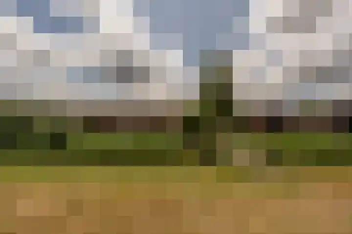 Wiardi Beckmanhof 8 Heinenoord thumbnail 34