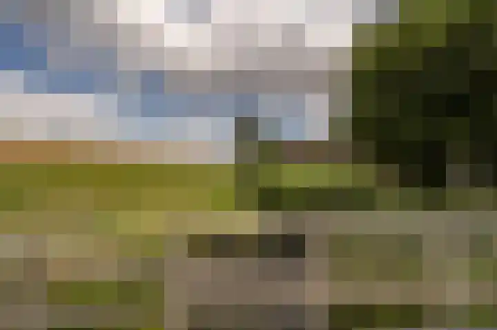 Wiardi Beckmanhof 8 Heinenoord thumbnail 35
