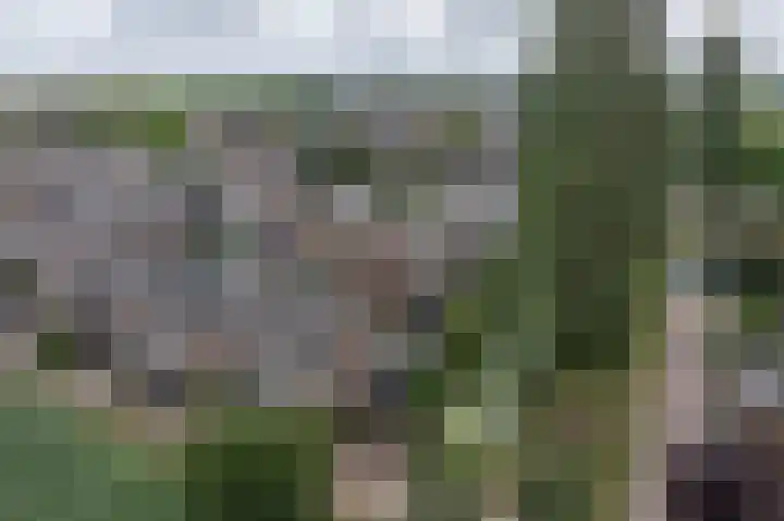 Wiardi Beckmanhof 8 Heinenoord thumbnail 37