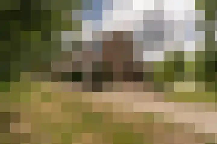 Wiardi Beckmanhof 8 Heinenoord thumbnail 42
