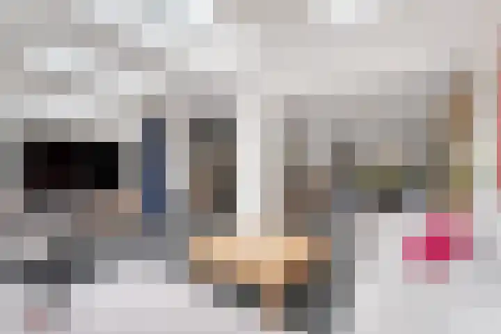 Wiardi Beckmanlaan 4 Middelburg thumbnail 13