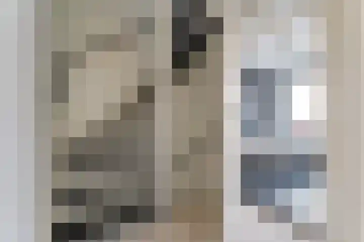 Wiardi Beckmanlaan 4 Middelburg thumbnail 17