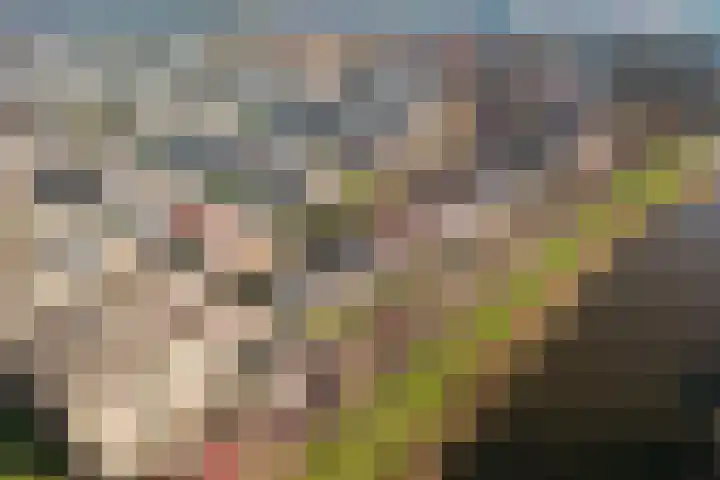 Wiardi Beckmanlaan 4 Middelburg thumbnail 40