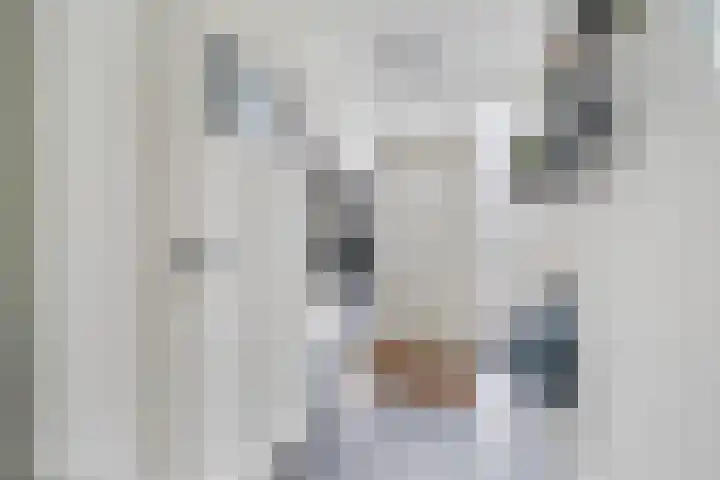 Wiardi Beckmanlaan 4 Middelburg thumbnail 5