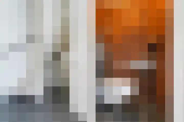 Wiardi Beckmanlaan 4 Middelburg thumbnail 6