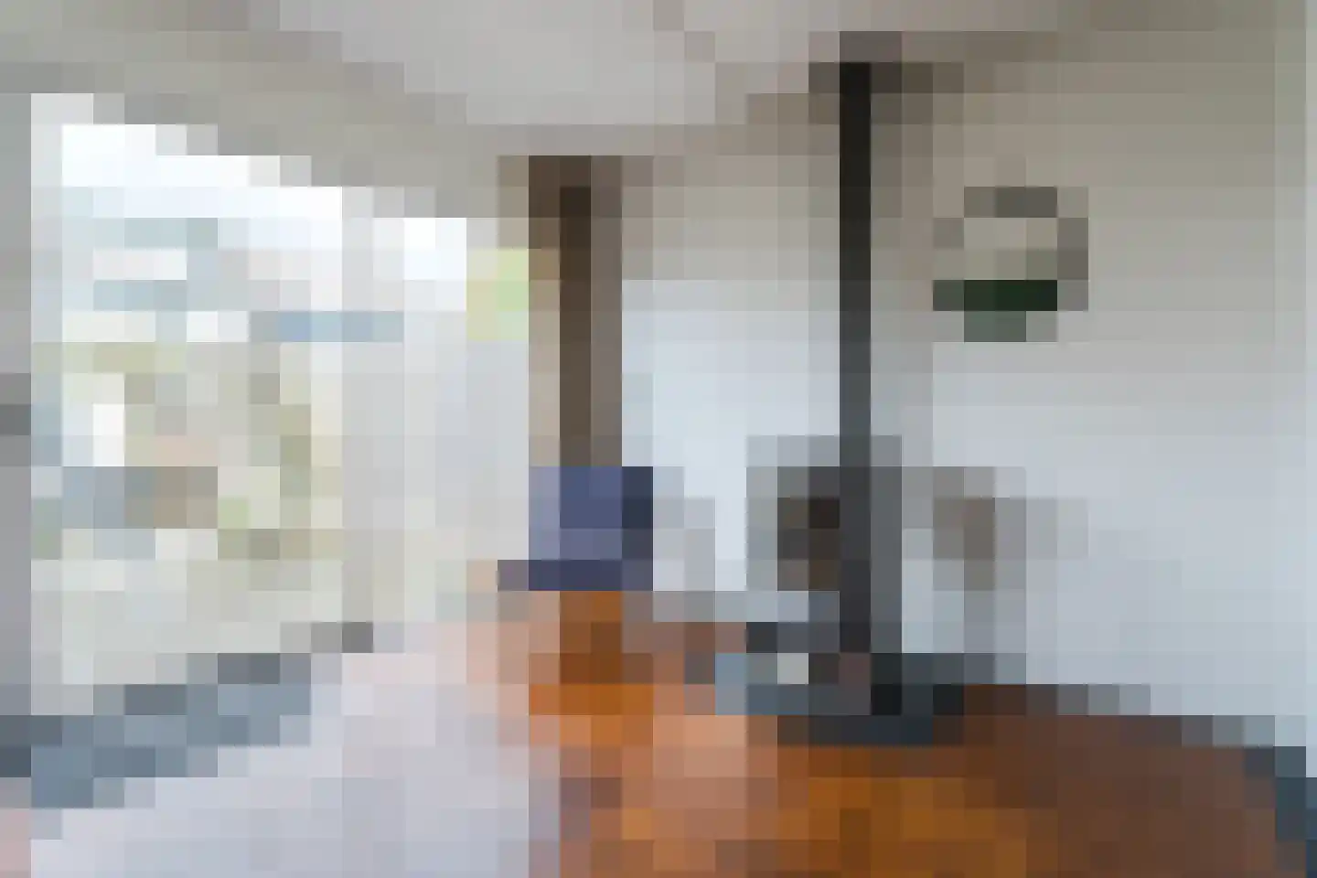 Wiardi Beckmanstraat 11 Papendrecht thumbnail 4