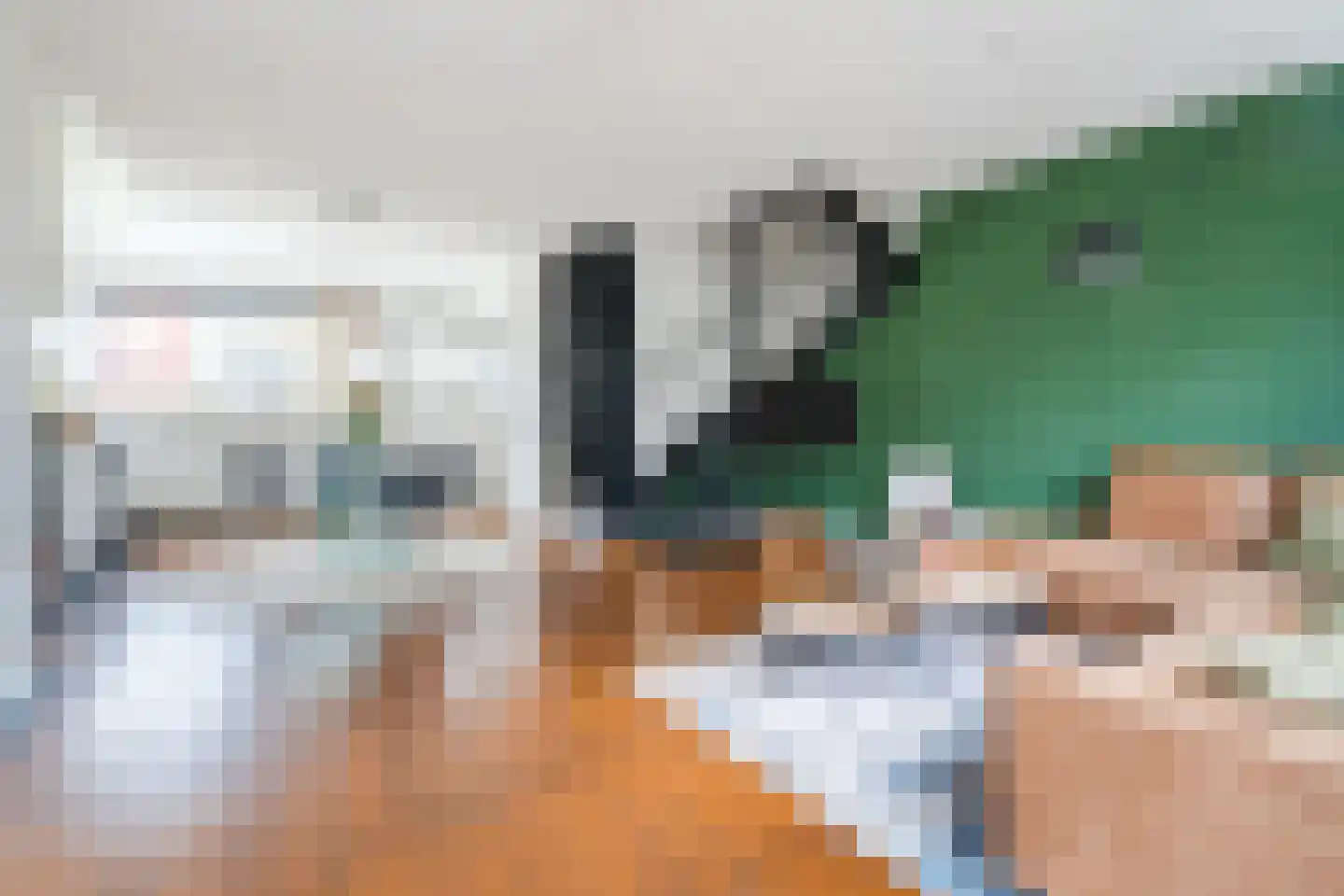 Wiardi Beckmanstraat 11 Papendrecht thumbnail 7